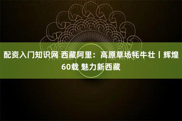 配资入门知识网 西藏阿里：高原草场牦牛壮丨辉煌60载 魅力新西藏