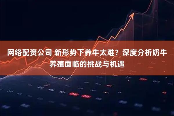 网络配资公司 新形势下养牛太难？深度分析奶牛养殖面临的挑战与机遇