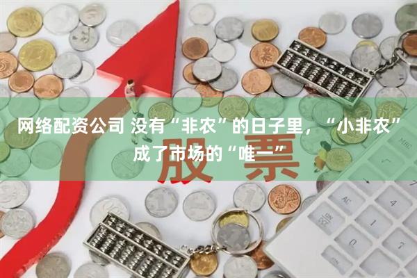 网络配资公司 没有“非农”的日子里，“小非农”成了市场的“唯一”
