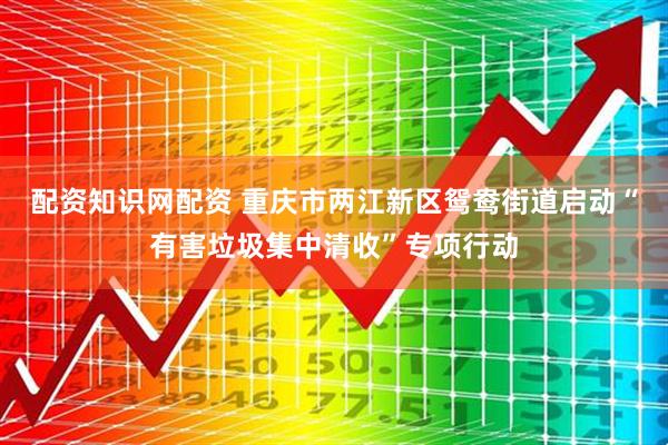 配资知识网配资 重庆市两江新区鸳鸯街道启动“有害垃圾集中清收”专项行动